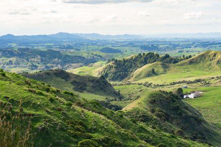 Typical rural scene near Hamilton in Waikato, North Island, New Zealandの写真素材