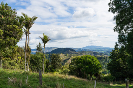 Typical rural scene near Hamilton in Waikato, North Island, New Zealandの写真素材