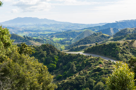 State Highway 23 between Raglan and Hamilton, with Mt Karioi in the backgroundの写真素材