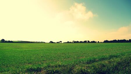 Field  France