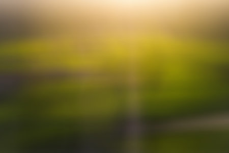 <p>abstract blurred background with horizontal vertical emerald green, brown, yellow stripes</p>の写真素材