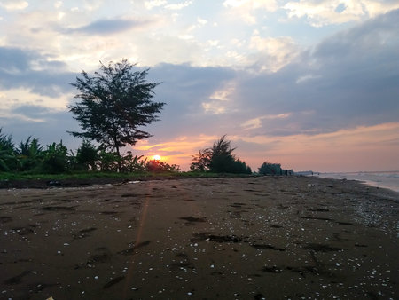 sunset on the beach with sand covered with seashellsの写真素材