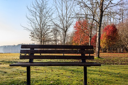 fall leaves and bench near lakeの写真素材