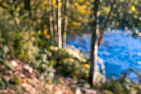 fuzzy fall forest river, blurの写真素材