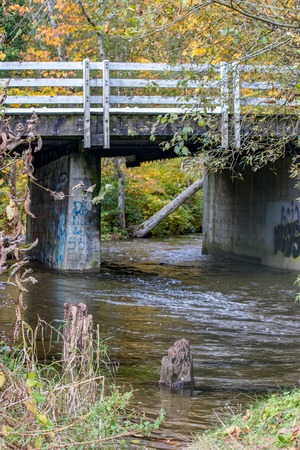 fall foliage around a graffiti bridgeの写真素材