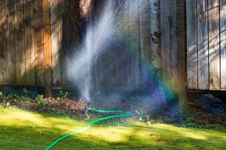 rainbow in sprinkler in green yard 2の写真素材