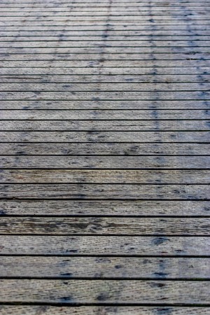 long woodenn plank texture
