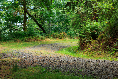 gravel and dirt trailの写真素材