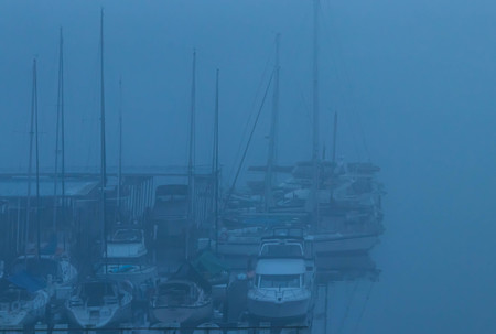 foggy harbor with sail boats in winter