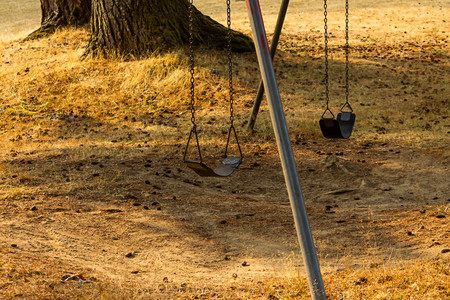 two swings hang over yellow grasson august afternoon