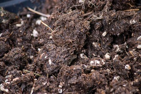 rich brouwn potting soil pilled up in a pot