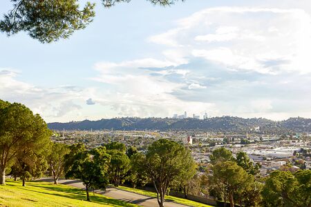 evergreen trees with panaramic view of buildings and hillside homesの写真素材