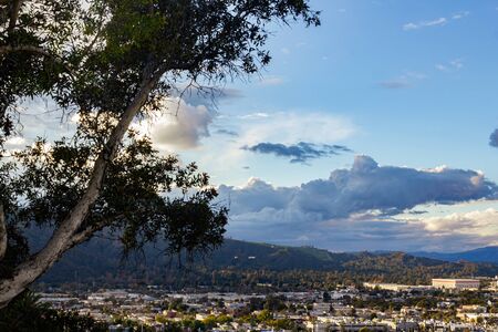 eucaly[tus tree over hanging valley view of city scape with mountain and cloudscapeの写真素材