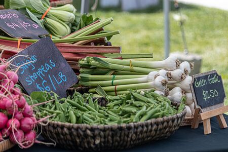 fresh radishes pilled up at a local farmers marketの写真素材