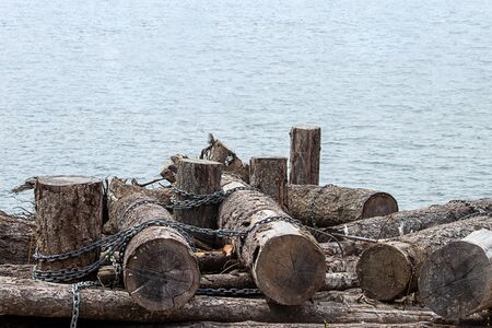 tree trunks bound together with chains floating in lake washington during daytime