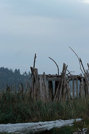 beach structure made from driftwood with walls and a roof
