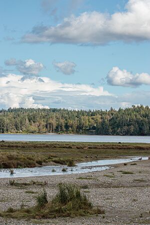 flat black stick bug on metal in outdoor setting of washingtonの写真素材