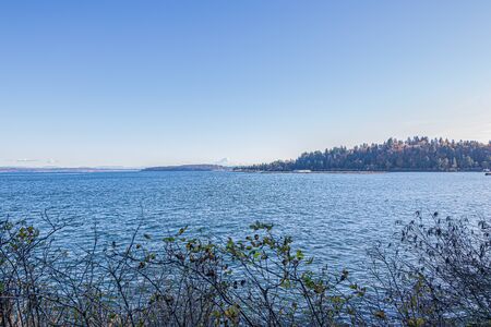 forest with walking path leading along the edge of the puget sound in washington state