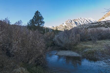 labrinth of water through grassy shoreline with ice in morning light