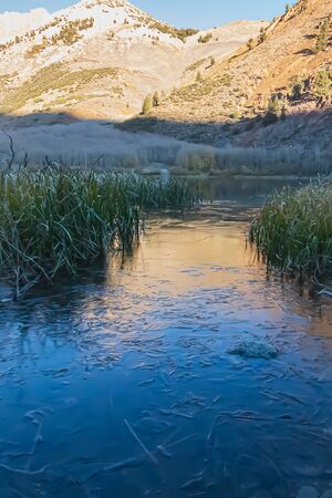 labrinth of water through grassy shoreline with ice in morning light