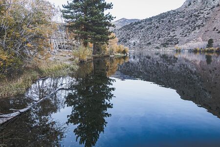 reflecctive mountain lake with pines aspens grass and mountain colorsの写真素材