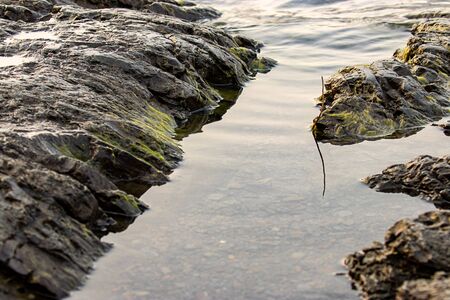 a calm shallow reflective water of a river or lake next to a muddy bankの写真素材
