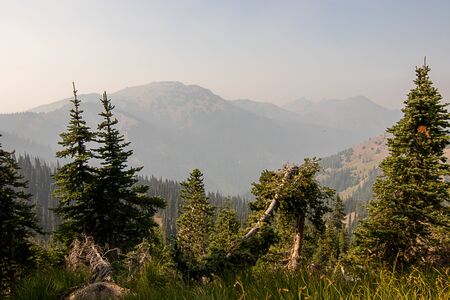 rolling forested mountain tops hidden in clouds
