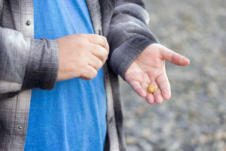 Mans hand holding shiny tumbled stone found on shoreline of washington