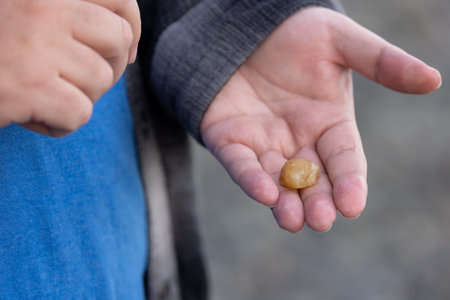 Mans hand holding shiny tumbled stone found on shoreline of washingtonの写真素材