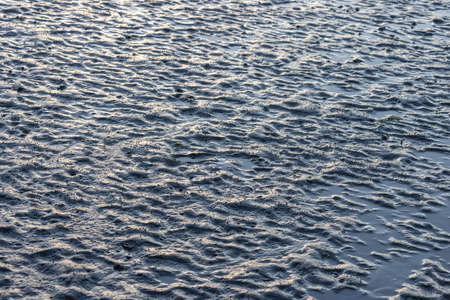 sparkling water texture of water in large lake