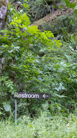 sign on edge of forest path pointing to restroomの写真素材