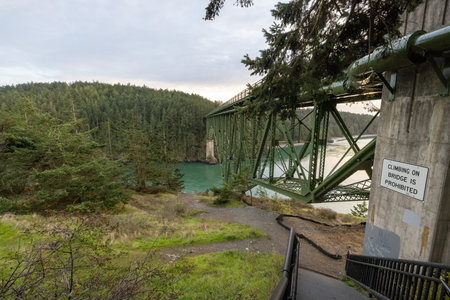 walkway by deception pass under the bridgeの写真素材