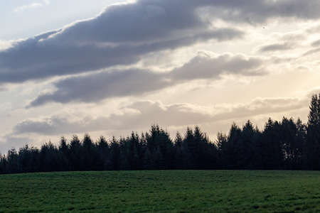 green field leading to cloudy sky over forestの写真素材