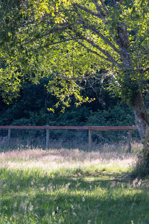 wire mesh fence running along the edge of a parkの写真素材