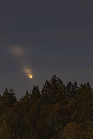 Golden Comet Above Forest with Light Clouds