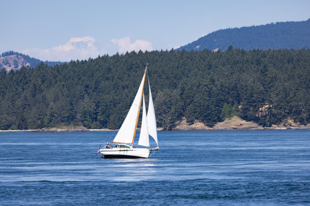 White Sailboat Gliding Across Blue Water Before Forested Island