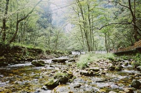 The River Stream in The Forest Background, Zhangjiajie National Forest Park, China.の写真素材