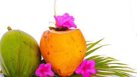 Green and yellow coconut on palm leaf on white backgroundの写真素材