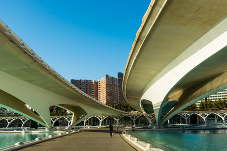 Valencia Spain October 13 2023 Panoramic view of the buildings of the City of Arts and Sciences in Valencia. Valencia is the second largest city in Spainのeditorial素材