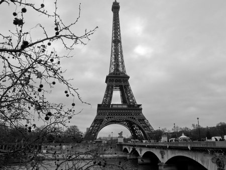 eiffel towerの写真素材