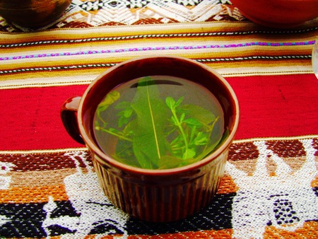 green tea lake titicacaの写真素材