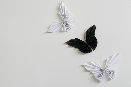 Black and white origami butterflies on white backgroundの写真素材