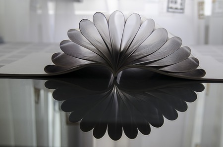 Blank Brochure magazine on dark glass blooming like flowerの写真素材