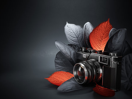 Photo camera with leaves. Creative concept for photographer portfolio web site.の写真素材