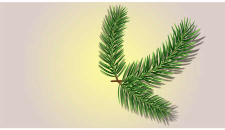 Vector image of a spruce branch, consisting of three branches on a light golden backgroundの写真素材