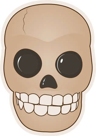 Vector drawing of a skull in a cartoon style.のイラスト素材
