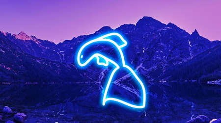 neon glowing fish outline on the background of a mountain lakeの写真素材