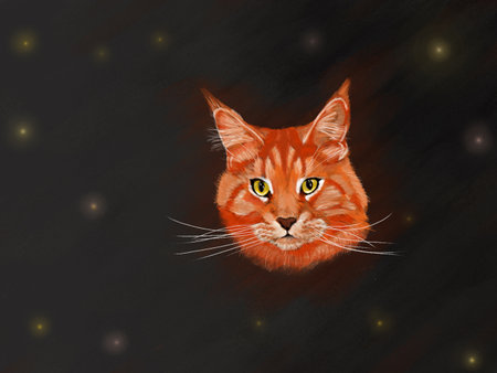 Freehand drawing of a red Maine Coon with yellow eyes on a dark backgroundの写真素材