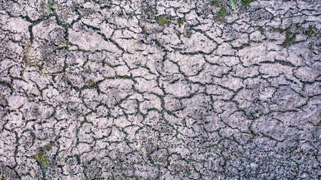 Photo of dry cracked surface textureの写真素材