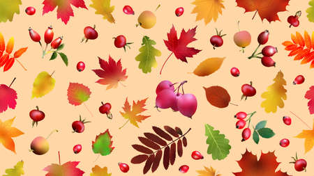 3d autumn seamless pattern with autumn leaves, rose hips and paradise apples.の写真素材